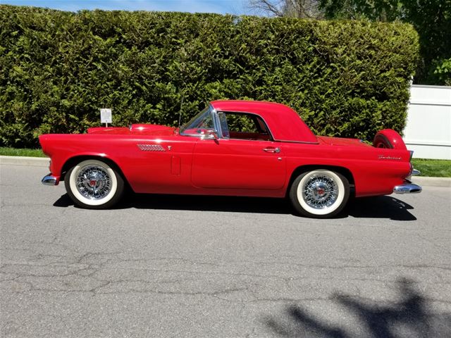 1956 Ford Thunderbird