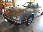 1988 Jaguar XJS12 