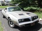 1978 Pontiac Firebird 