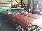 1965 Ford Thunderbird