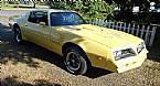 1977 Pontiac Firebird