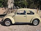 1969 Volkswagen Beetle