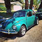 1967 Volkswagen Beetle