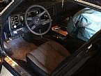 1981 Chevrolet Camaro