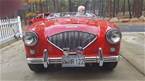 1956 Austin Healey 100-4