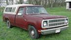 1979 Dodge D100 