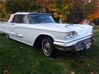 1959 Ford Thunderbird 