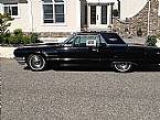 1965 Ford Thunderbird