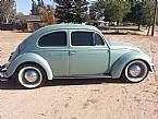 1956 Volkswagen Beetle