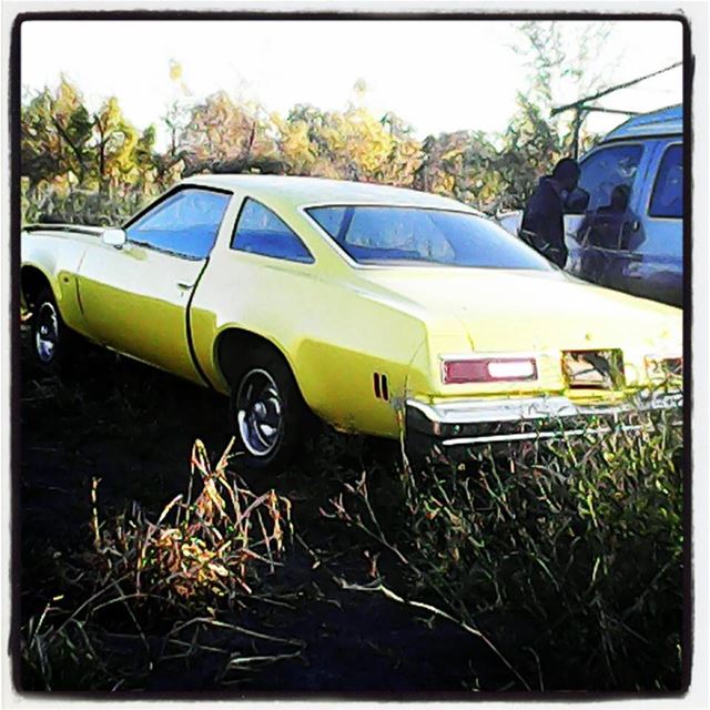 1976 Chevrolet Chevelle