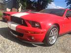 2007 Ford Shelby 