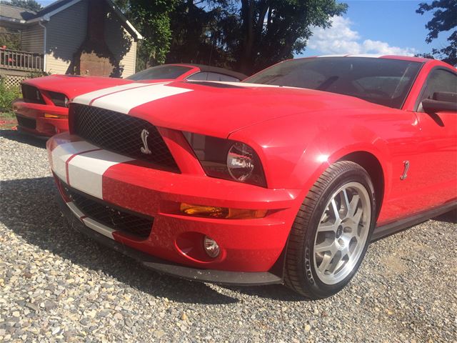 2007 Ford Shelby
