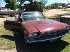 1966 Ford Thunderbird 