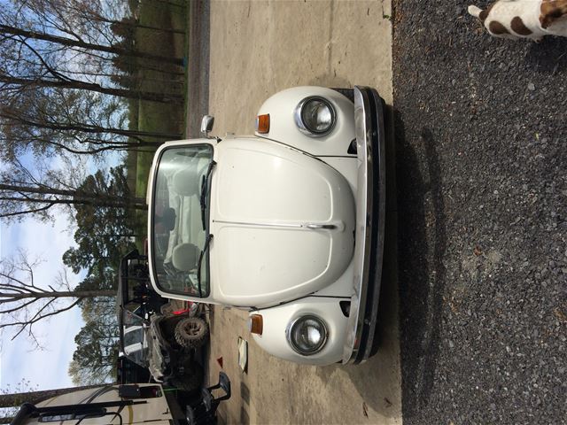 1977 Volkswagen Beetle for sale