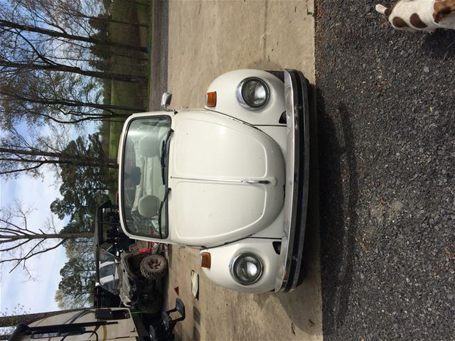 1977 Volkswagen Beetle