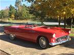 1955 Ford Thunderbird