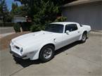 1975 Pontiac Trans Am