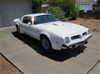 1975 Pontiac Trans Am