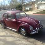 1964 Volkswagen Beetle 