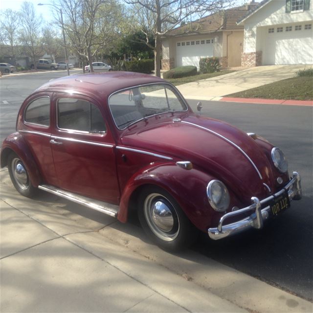1964 Volkswagen Beetle for sale