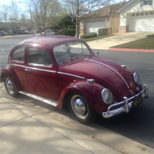 1964 Volkswagen Beetle