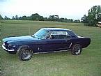 1964.5 Ford Mustang