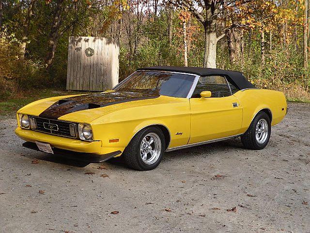1973 Ford Mustang for sale