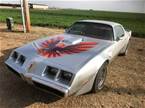 1980 Pontiac Trans Am 