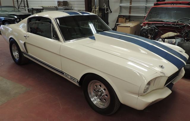 1966 Ford Shelby