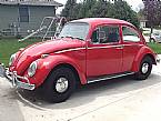 1966 Volkswagen Beetle