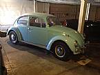 1967 Volkswagen Beetle