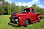 1955 Ford F100