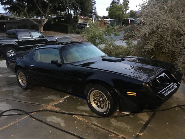 1980 Pontiac Trans Am