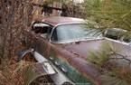 1956 Buick Hardtop 