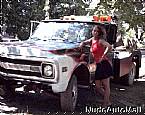 1969 Chevrolet C30