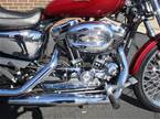 2004 Other Harley Davidson XL1200C Picture 10