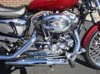 2004 Other Harley Davidson XL1200C Picture 10