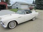 1956 Ford Thunderbird Picture 10