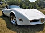 1980 Chevrolet Corvette Picture 10