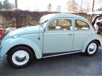 1964 Volkswagen Beetle Picture 10