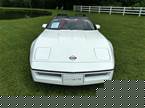 1990 Chevrolet Corvette Picture 10