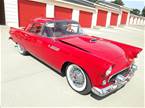 1955 Ford Thunderbird Picture 10