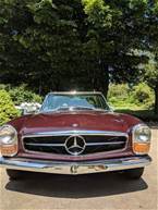 1968 Mercedes 250SL Picture 10