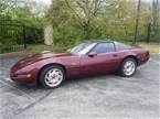 1993 Chevrolet Corvette Picture 11