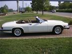 1988 Jaguar XJS Picture 11