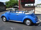 1965 Volkswagen Beetle Picture 11