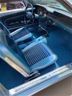 1967 Ford Mustang Picture 11