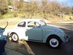 1964 Volkswagen Beetle Picture 11