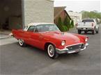 1957 Ford Thunderbird Picture 11