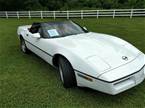 1990 Chevrolet Corvette Picture 11